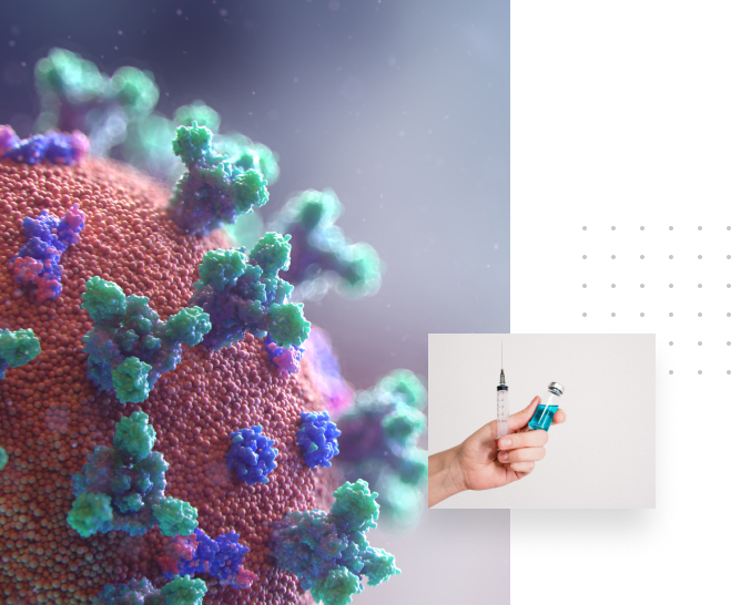 Coronavirus tracker website preview